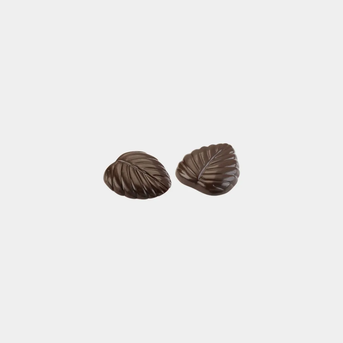 Chocolate 70% cocoa Leaves Metal Tin 30g